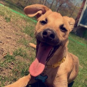 Meet your Posher, Tyler